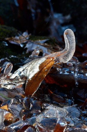 Oak leaf ice sculpture