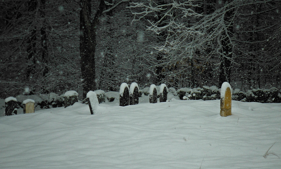 Bell Cedar graveyard buried