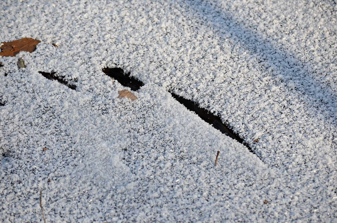 A skin of snow on ice