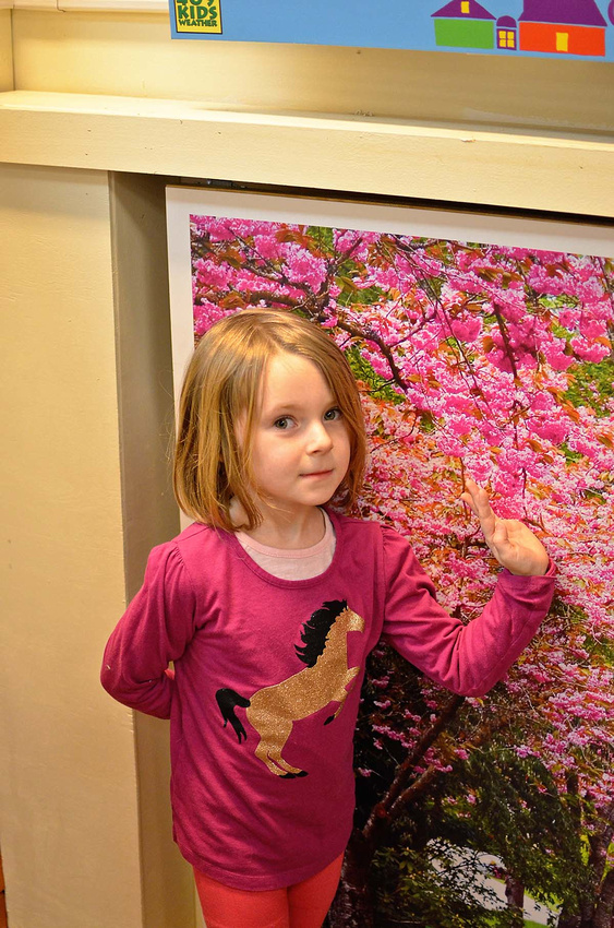 Stasia blossom, Children's Museum