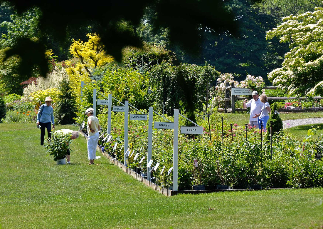 White Flower Farm show garden