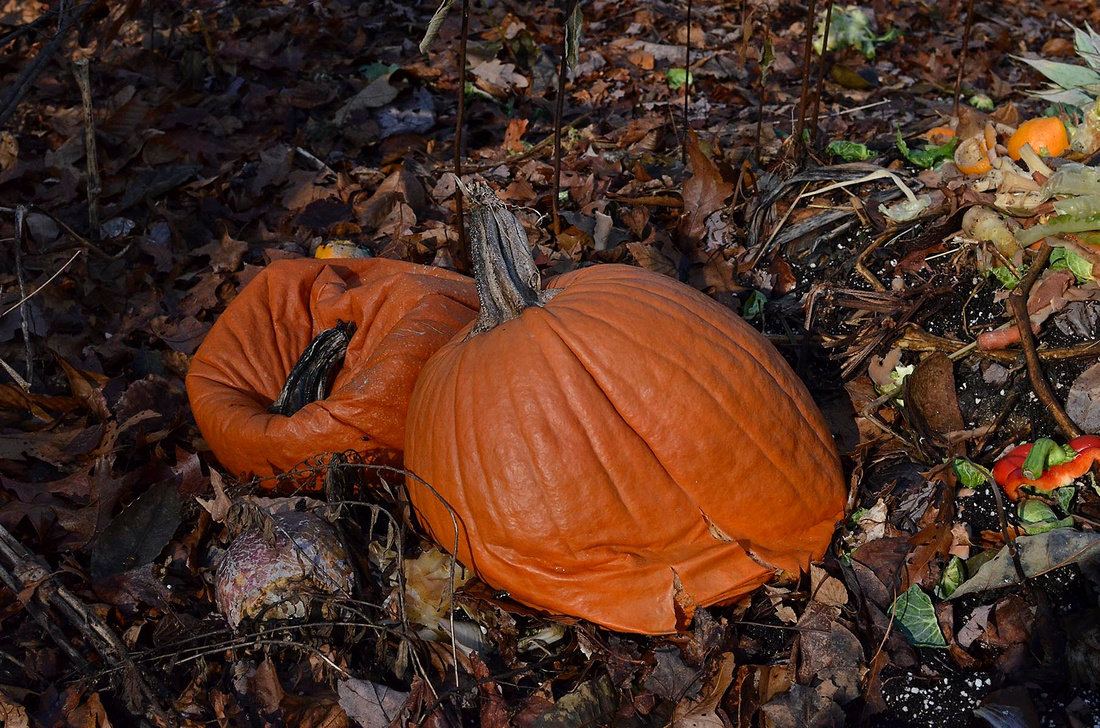Deflated pumpkin, home
