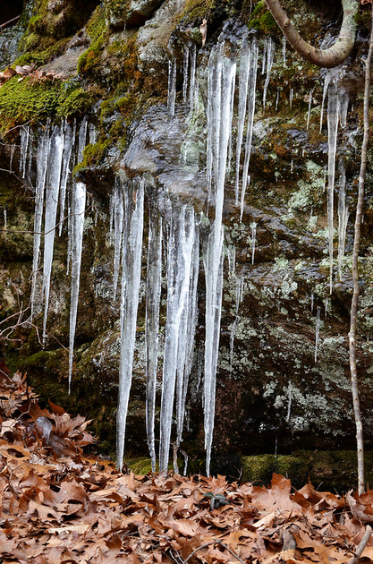 Icicles on the cliff