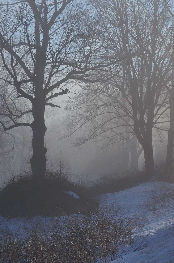 Snow, fog, warmth