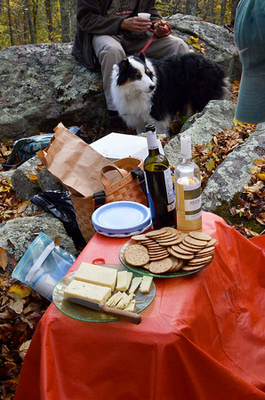 Avalonia picnic wine and cheese
