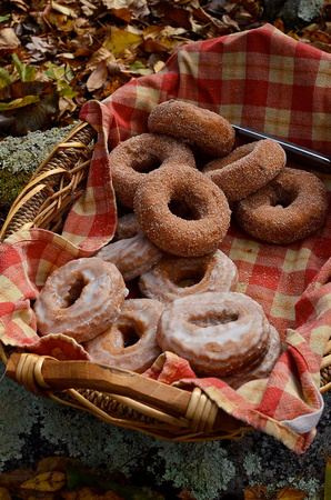 Avalonia picnic donuts