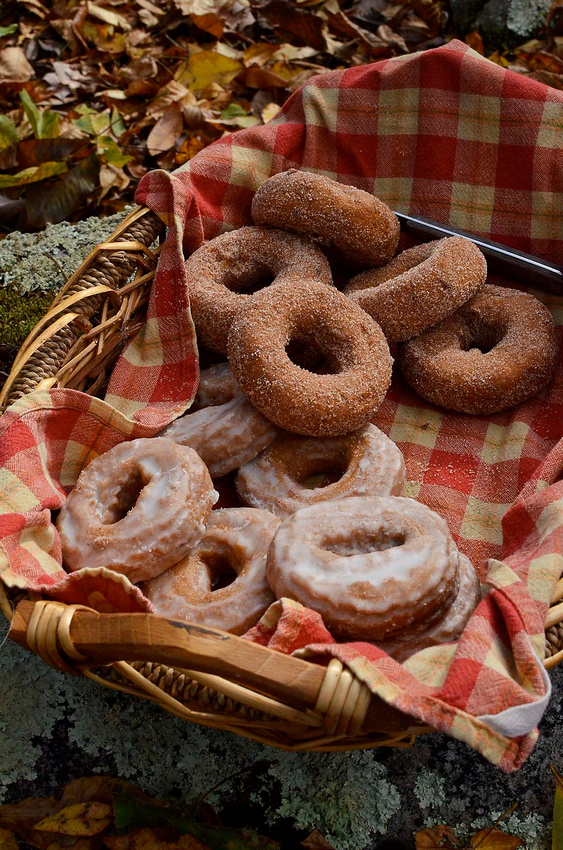 Avalonia picnic donuts